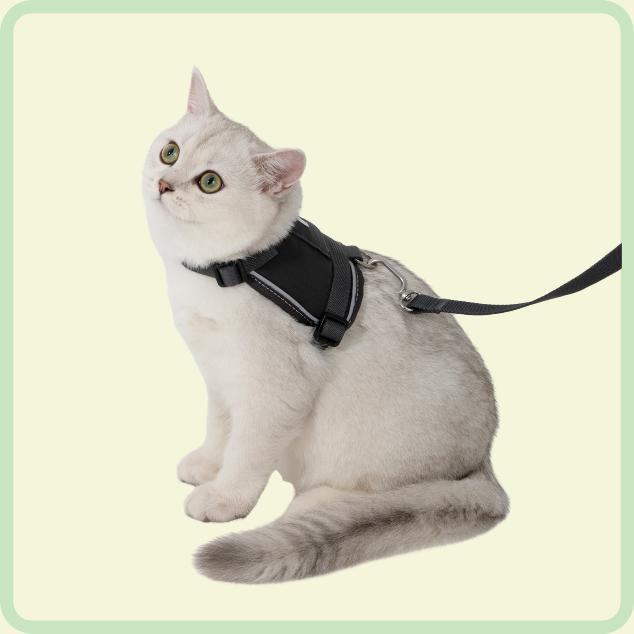 comfortabel kattenharnas