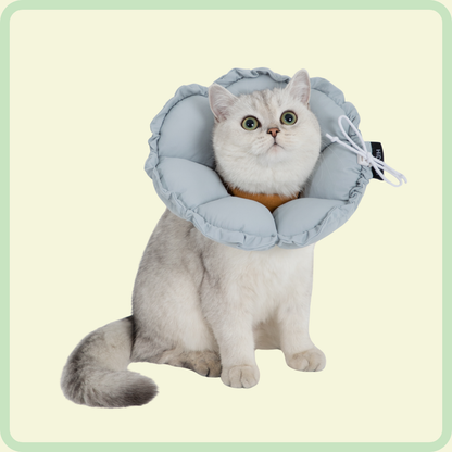Flower Pet Recovery Collar 
