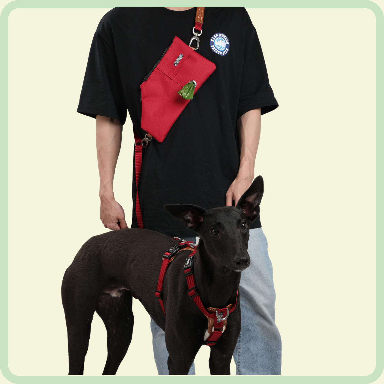 handsfree hondenpoepzak - poppy-serie 