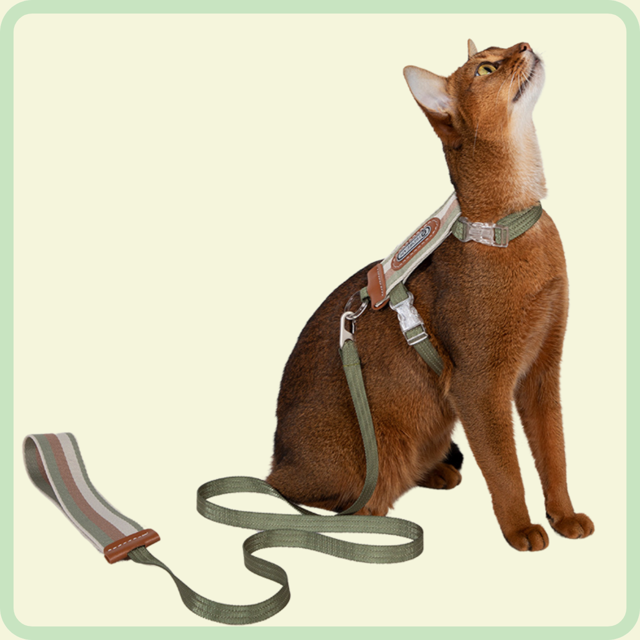 vally l-vormig kattenharnas 