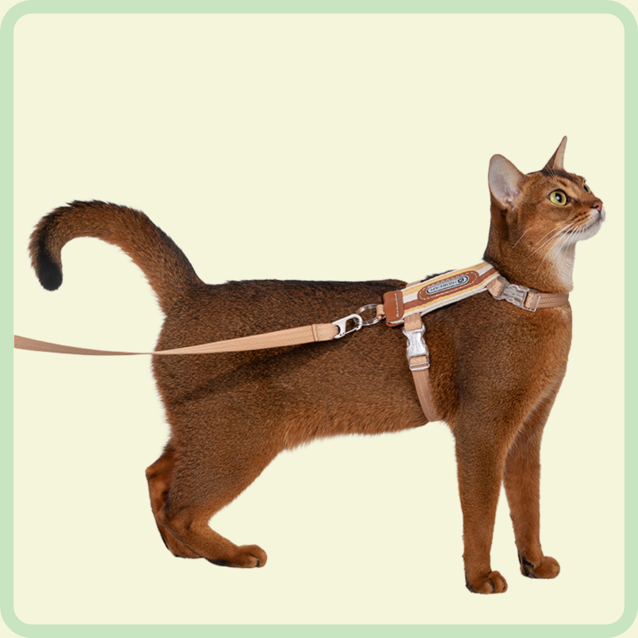 vally l-vormig kattenharnas 