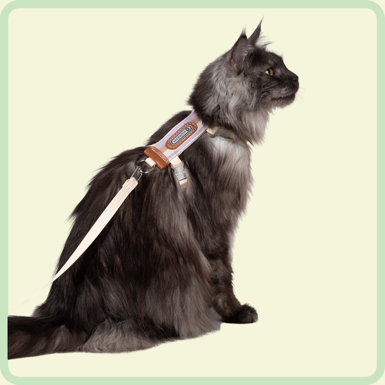 vally l-vormig kattenharnas 