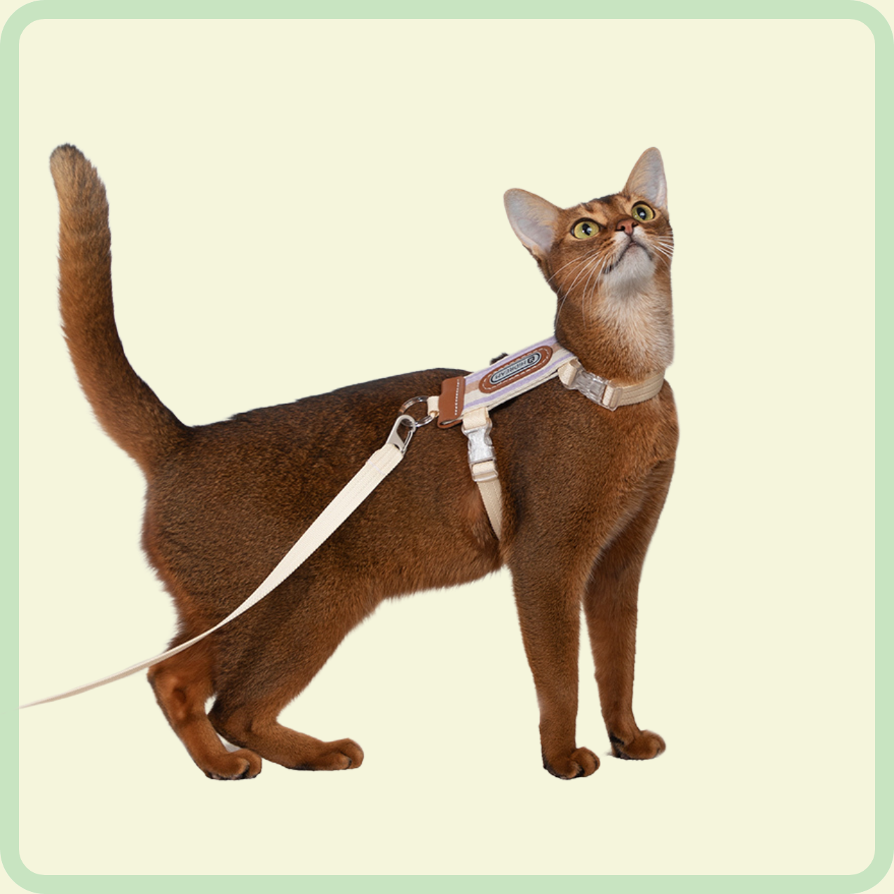 vally l-vormig kattenharnas 
