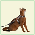 Vally L-vormig kattenharnas 