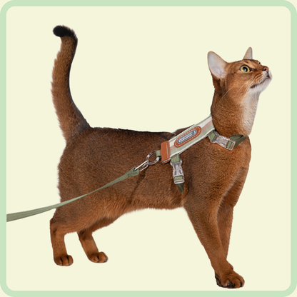 Vally L-vormig kattenharnas 