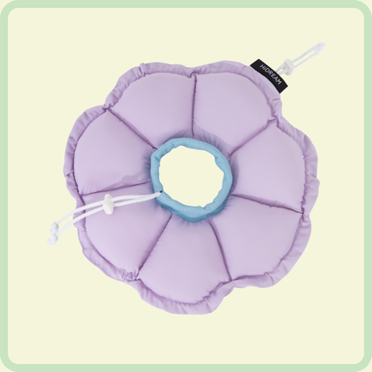Flower Pet Recovery Collar 