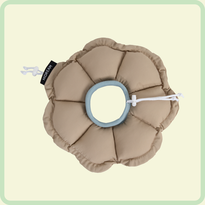 Flower Pet Recovery Collar 