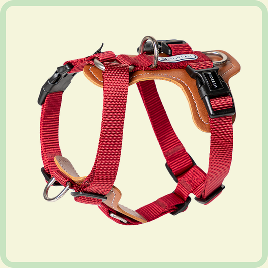 Verstelbaar harnas zonder trekken - Poppy-serie 