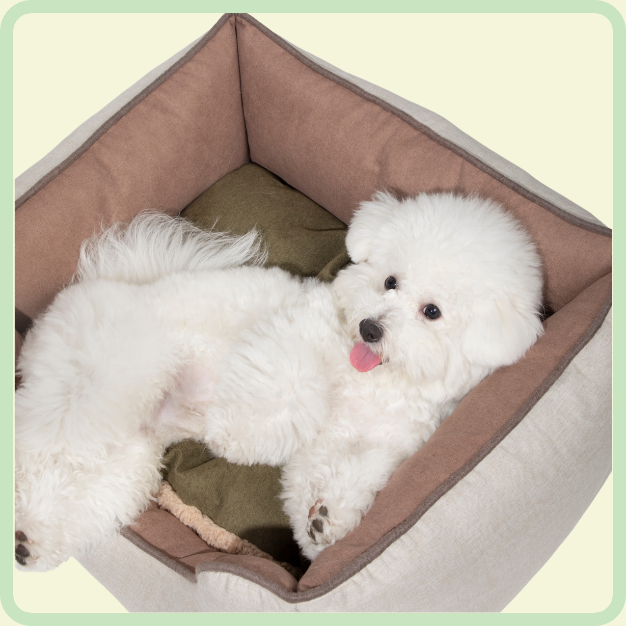 all-season wasbaar huisdierbed 