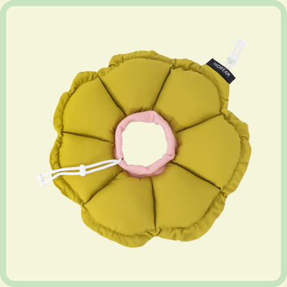 Flower Pet Recovery Collar 