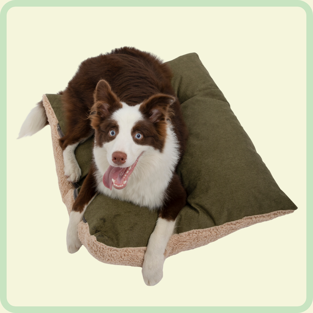 all-season wasbaar huisdierbed 