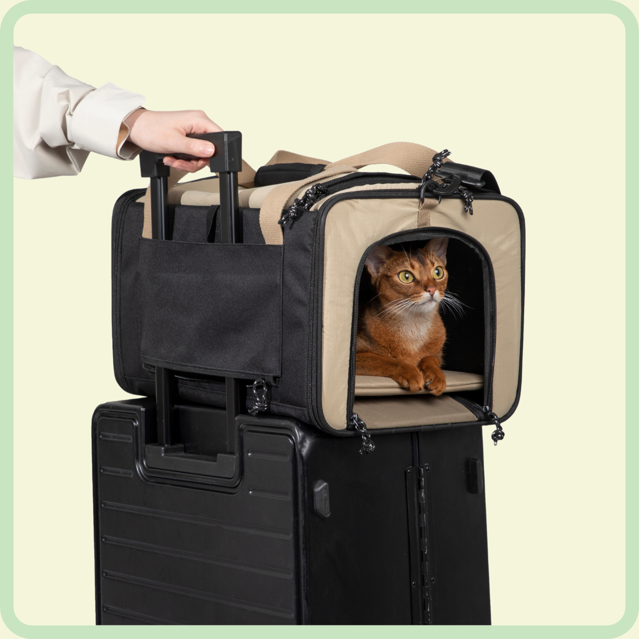 bagage-klare huisdierendrager 