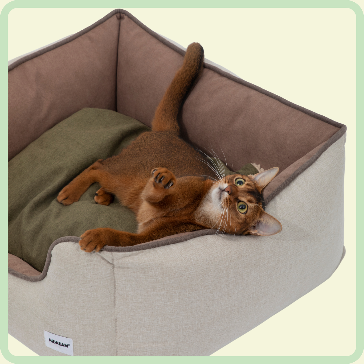 all-season wasbaar huisdierbed 