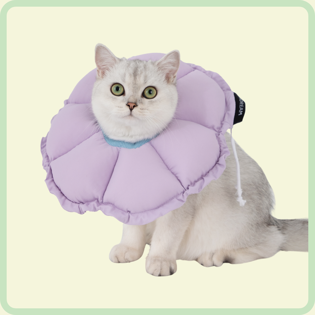 flower pet recovery collar 