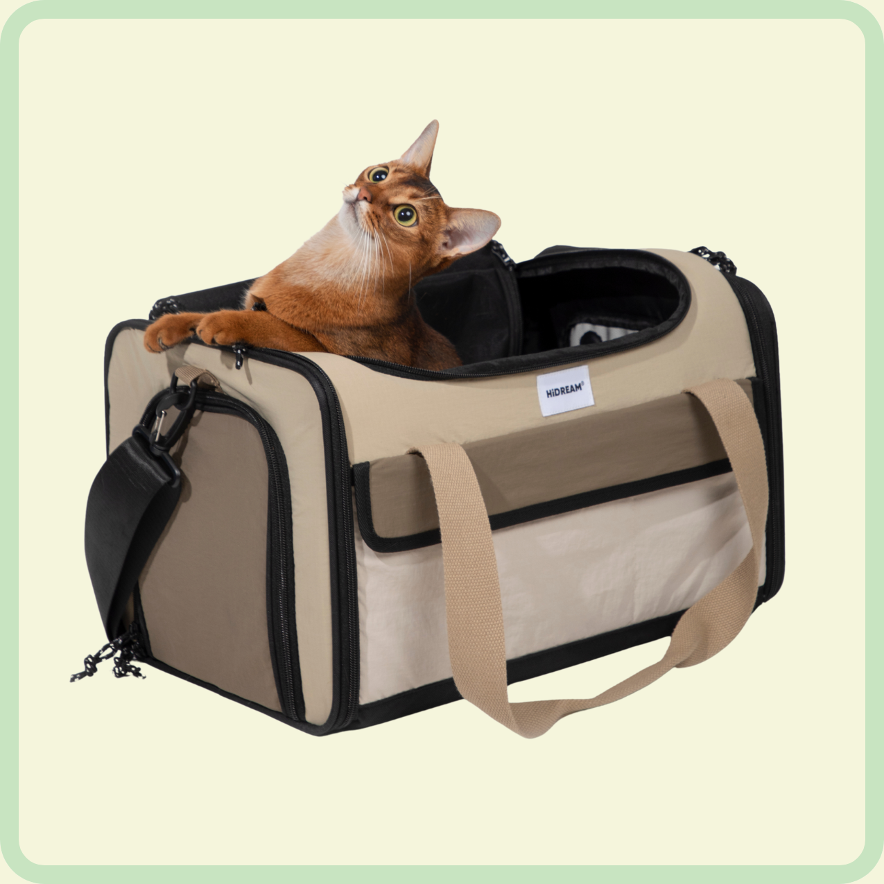 bagage-klare huisdierendrager 