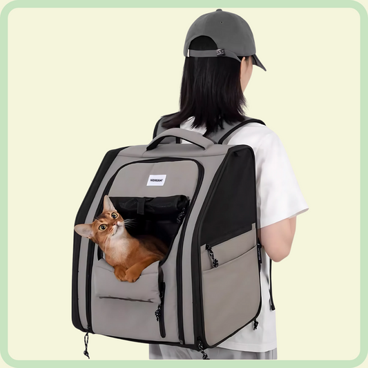 "Moving Castle" Pet Loft rugzak 