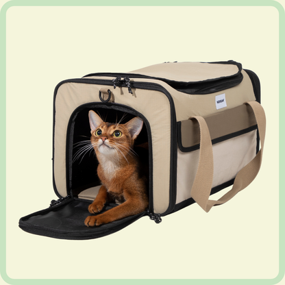 Bagage-klare huisdierendrager 
