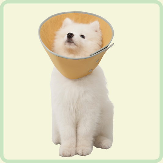 Beschermende kegelhalsband voor huisdieren 