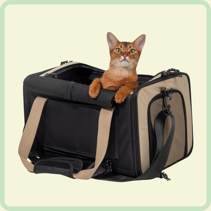 Bagage-klare huisdierendrager 