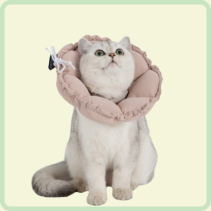 Flower Pet Recovery Collar 