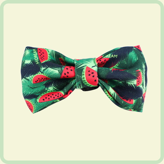 "Kleurrijke Serie" Hondenstrik 