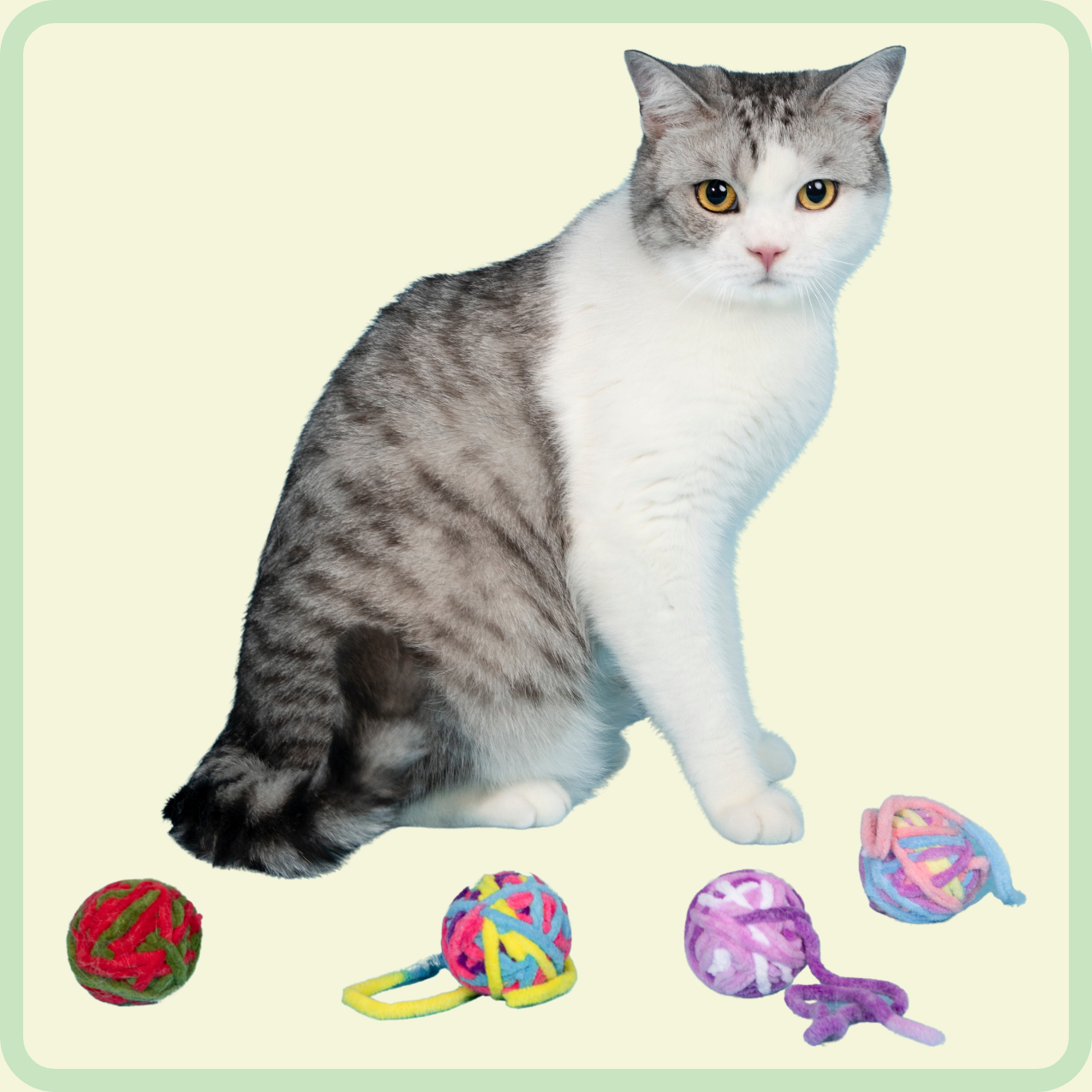 katten pluchen bal speelgoed 