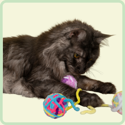 Katten pluchen bal speelgoed 