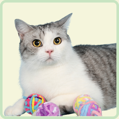 Katten pluchen bal speelgoed 