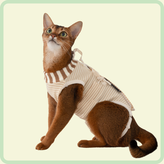 Verstelbaar katten-bergingspak 