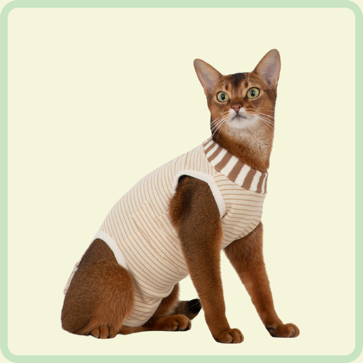 adjustable cat recovery suit