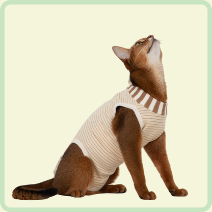 Adjustable Cat Recovery Suit