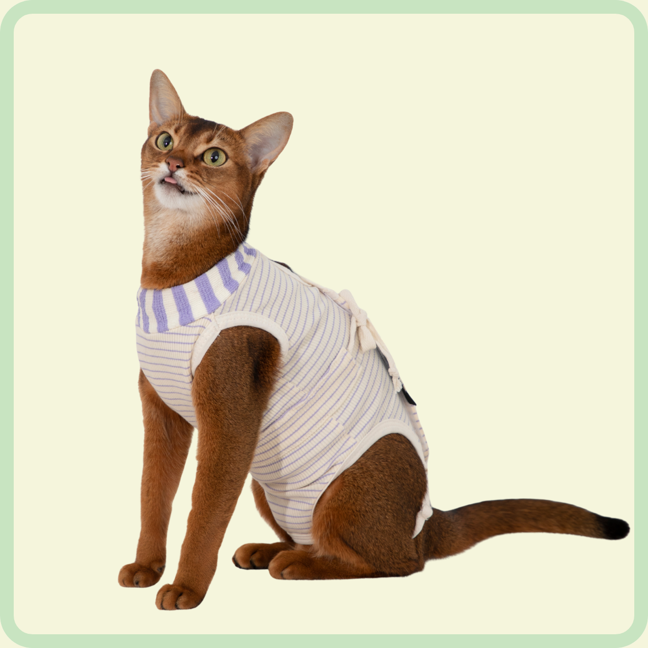 adjustable cat recovery suit