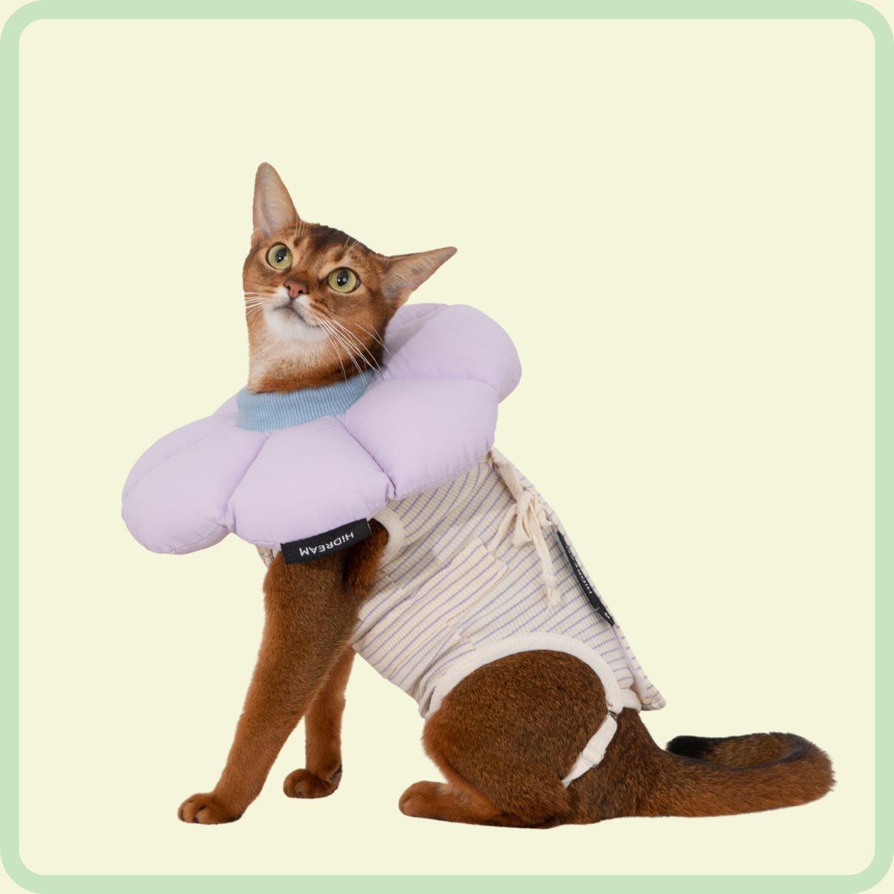 adjustable cat recovery suit