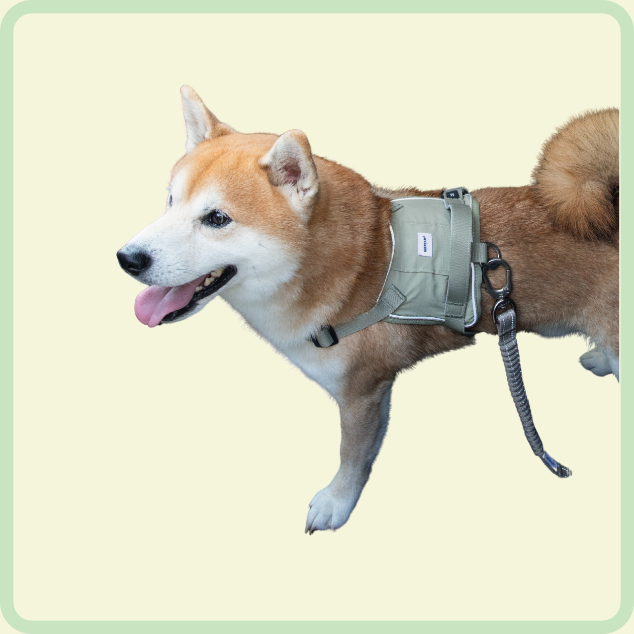 safety guard belt and pet escort