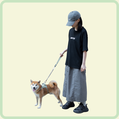 Safety Guard Belt and Pet Escort