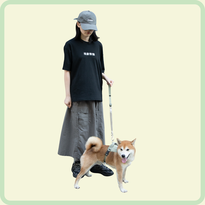 Safety Guard Belt and Pet Escort