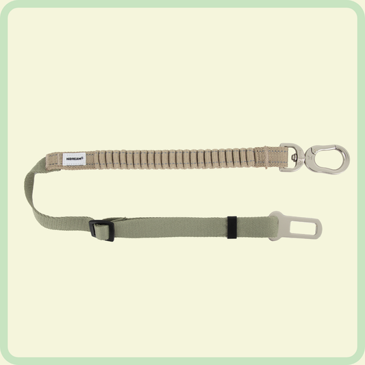 Veiligheidsgordel en huisdierenbegeleiding 