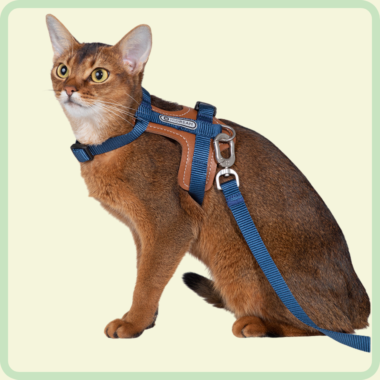 purrsoft leren riem 