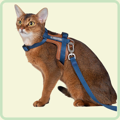 PurrSoft leren riem 