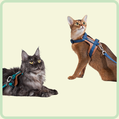 PurrSoft leren riem 
