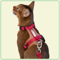 PurrSoft leren riem 