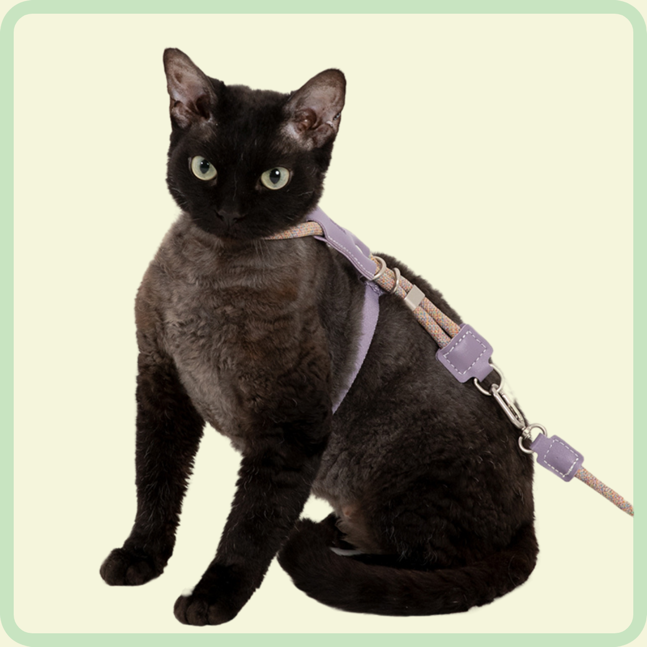 cozyfit kattenharnasset 