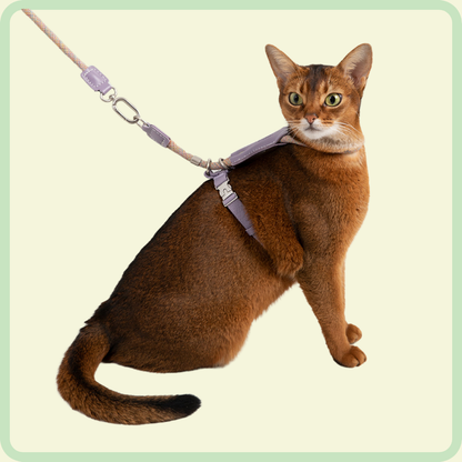 CozyFit Kattenharnasset 