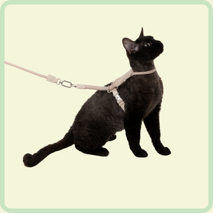 CozyFit Kattenharnasset 