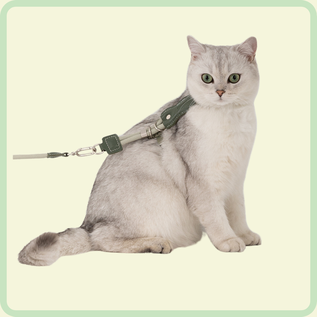 cozyfit kattenharnasset 