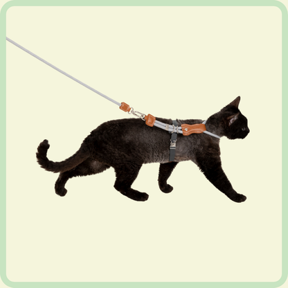 CozyFit Kattenharnasset 