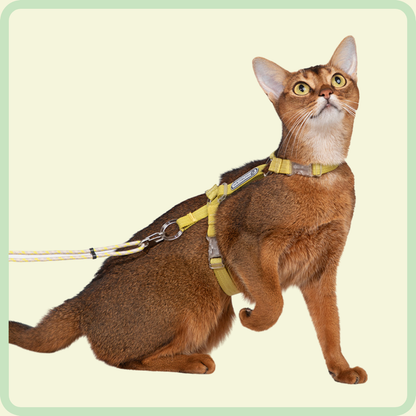 CozyFit Kattenharnasset 