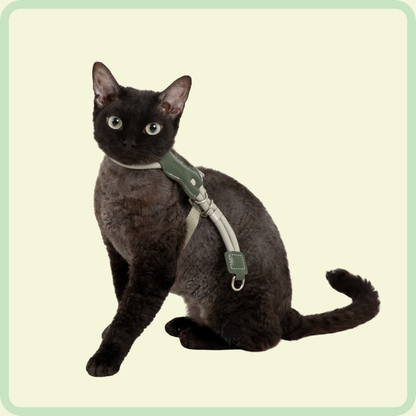 CozyFit Kattenharnasset 