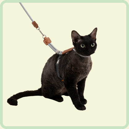 CozyFit Kattenharnasset 