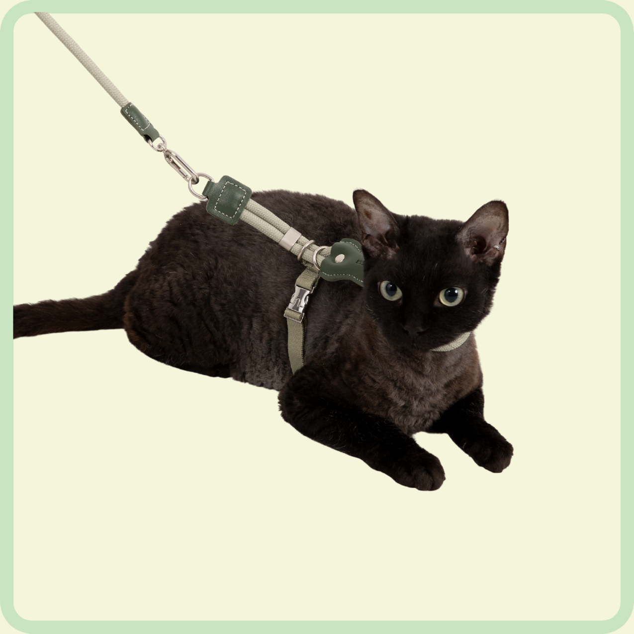 cozyfit kattenharnasset 